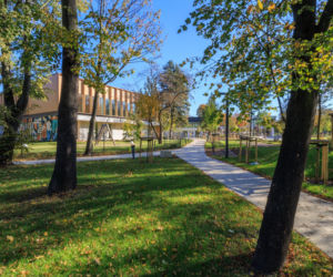 Centrum Aktywności Międzypokoleniowej na Ochocie