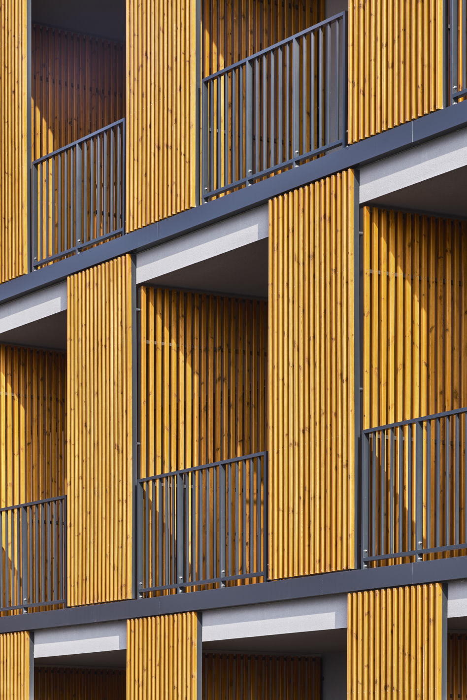 Hotel Notera w Borach Tucholskich