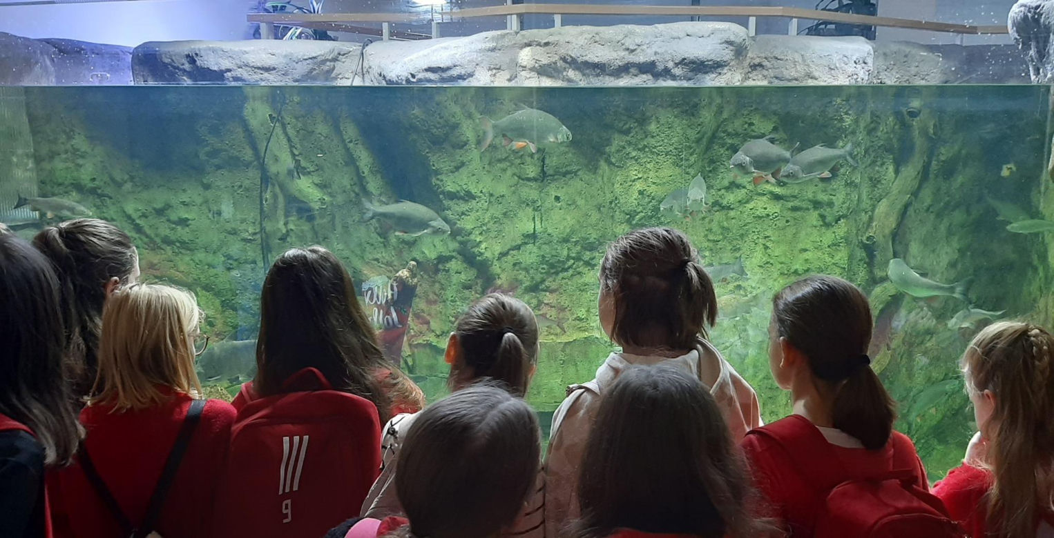 Ośrodek Edukacji Przyrodniczej w Umianowicach