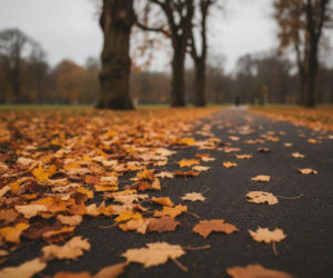 Weekend w Warszawie z ważną zmianą w pogodzie. Nie każdy dzień będzie słoneczny