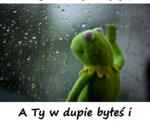 Urlop: memy