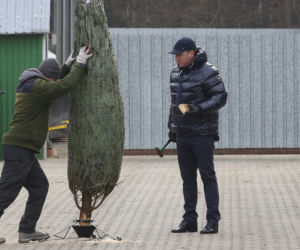 Kurski szykuje się na święta