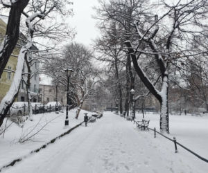 Potężny atak zimy w Krakowie! Śnieg nie odpuści, synoptycy nie mają dobrych informacji