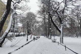 Potężny atak zimy w Krakowie! Śnieg nie odpuści, synoptycy nie mają dobrych informacji