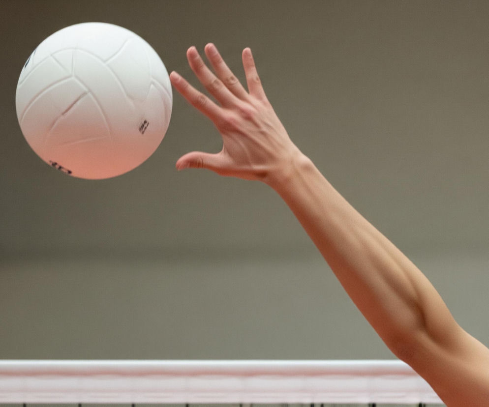 Ekstraklasa siatkarzy. Lwów lepszy od Chełma, jak przebiegło starcie?