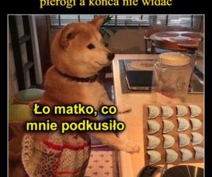 Najlepsze memy na święta