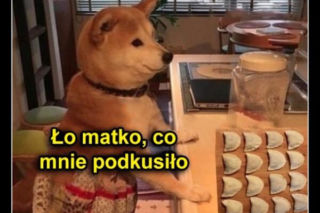 Najlepsze memy na święta