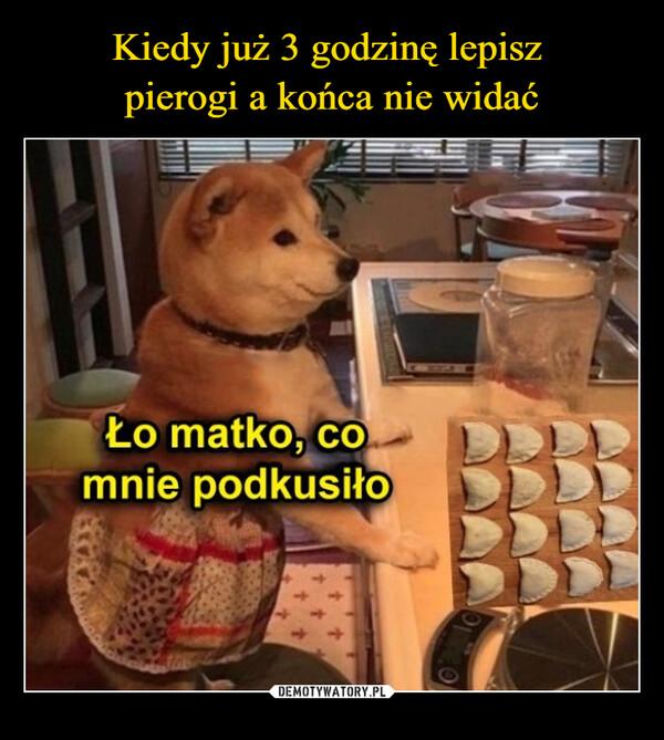 Najlepsze memy o świętach Bożego Narodzenia