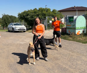 ESKA Summer City odwiedziła schronisko w Świdnicy. Pomoc dla zwierząt i kolejne przystanki na trasie