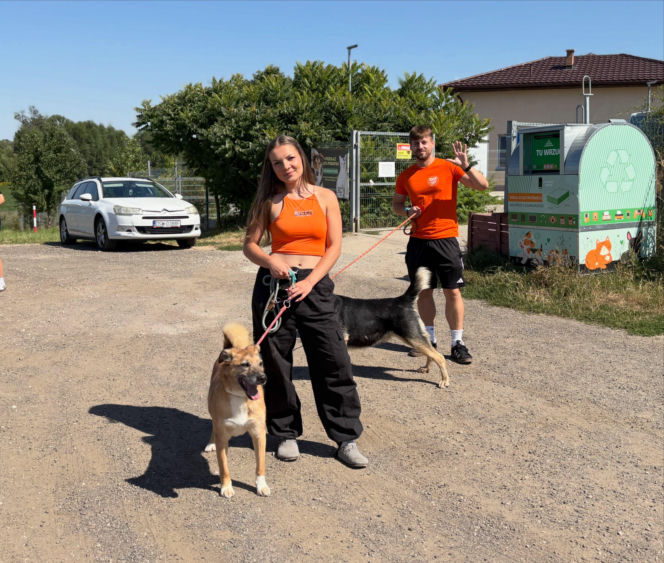 ESKA Summer City odwiedziła schronisko w Świdnicy. Pomoc dla zwierząt i kolejne przystanki na trasie