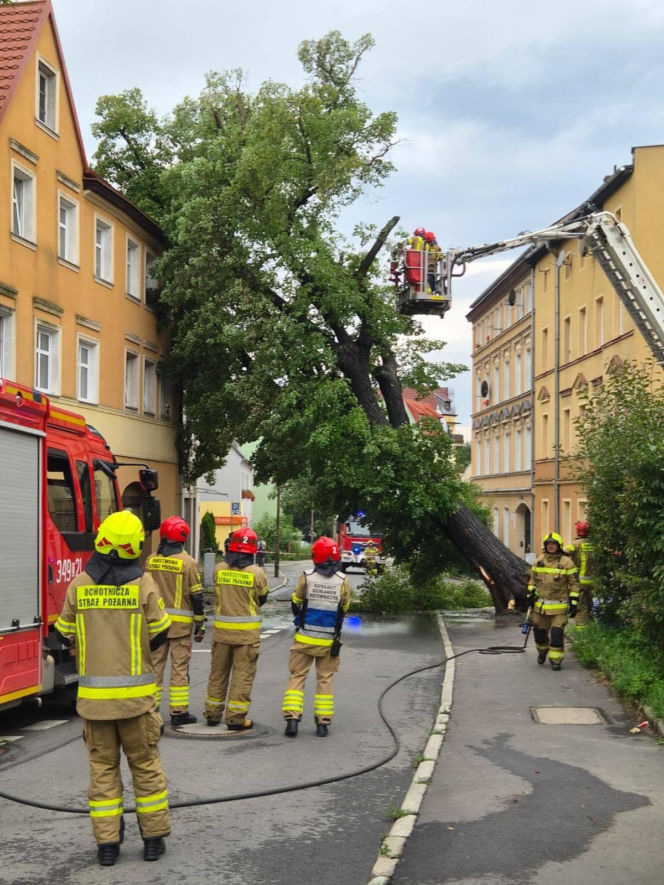 Burze spustoszyły Dolny Śląsk. Setki interwencji strażaków i ewakuacja obozów harcerskich