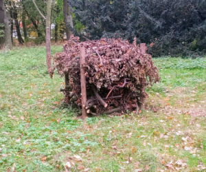 Stosy biocenotyczne w szczecińskich parkach