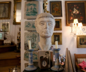 Koty Jarka nas terroryzują