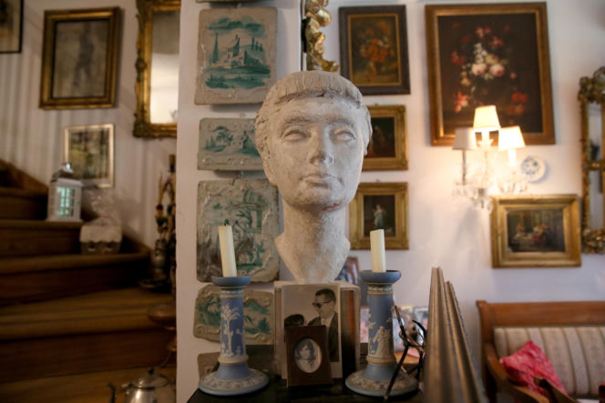 Koty Jarka nas terroryzują