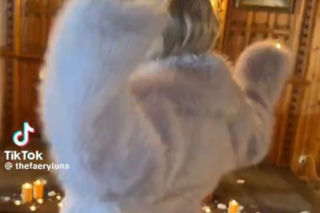 Metropolita przeprasza za zgorszenie w kościele na Mazowszu. Gwiazda Eurowizji prężyła gołe pośladki przed ołtarzem