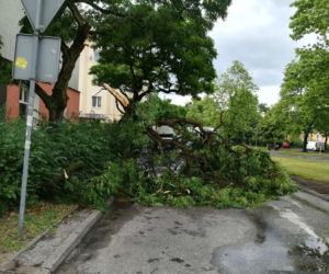 Bydgoszcz po nawałnicy