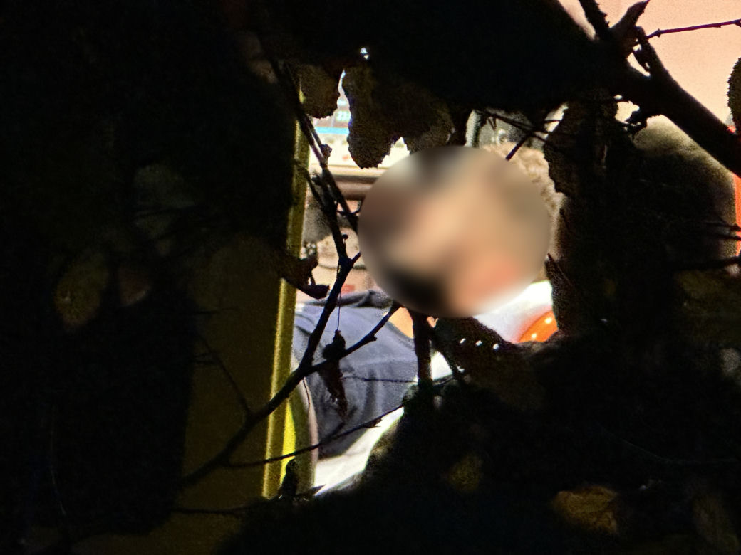 Nocny pościg ulicami Warszawy. Ranny policjant, w akcji pies tropiący
