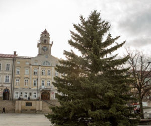 Gorlice: Na rynku już stoi choinka. Jest piękna. MUSISZ ją zobaczyć