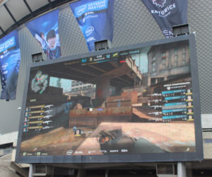 Spodek IEM