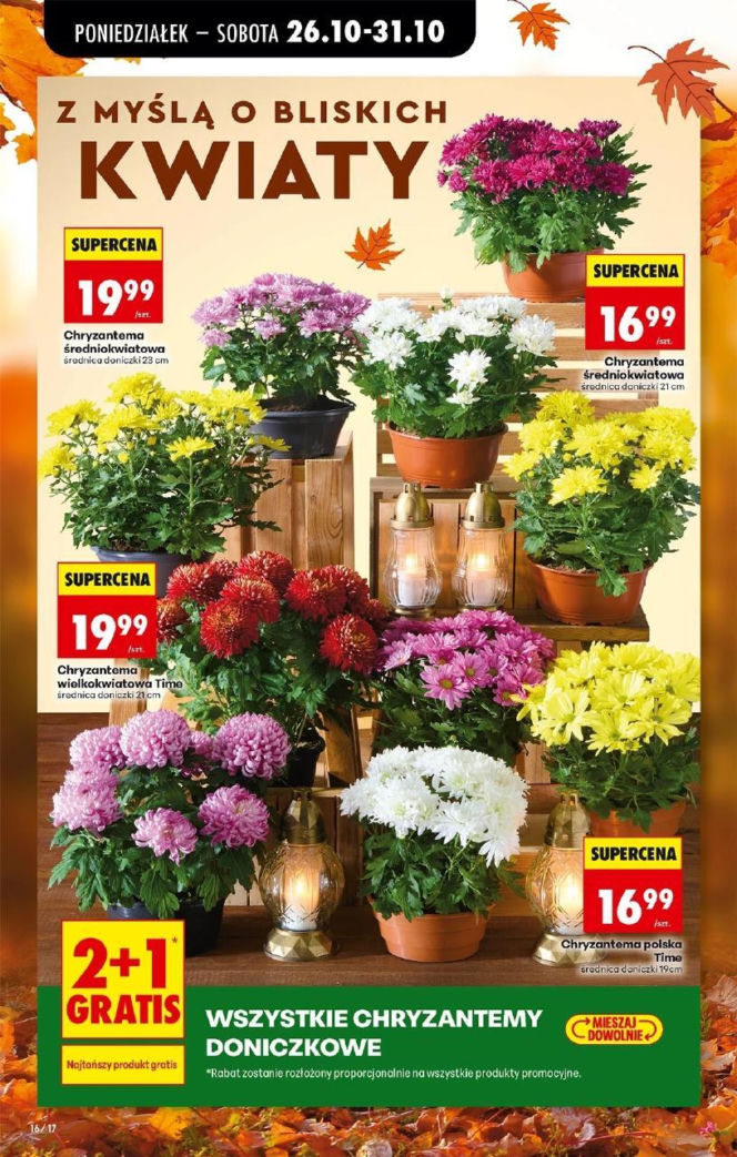 kwiaty 1 listopada Biedronka