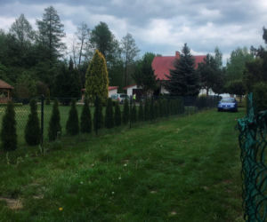 Sprzątał działkę, spalił się od liści