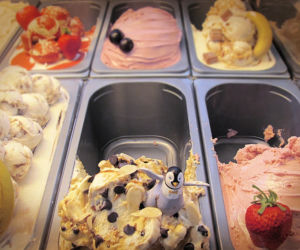 Lody