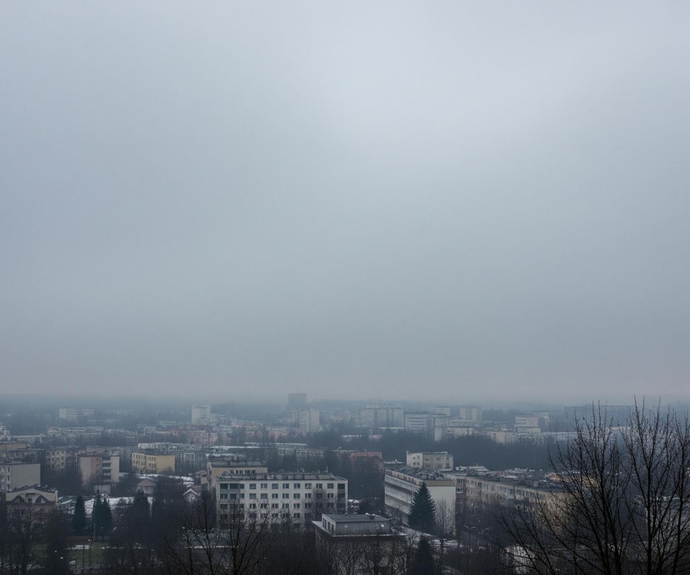 Panorama miasta rozciąga się pod szarym, zachmurzonym niebem, które zajmuje ponad połowę kadru. Widoczne są liczne, wielopiętrowe budynki mieszkalne w odcieniach bieli, beżu i szarości, niektóre z nich mają dachy pokryte śniegiem. Pomiędzy zabudowaniami i na pierwszym planie rosną liczne drzewa o nagich, ciemnych gałęziach, co sugeruje późną jesień lub zimę. Całość jest skąpana w gęstej, szarej mgle lub smogu, co nadaje scenie ponury, zamglony charakter i ogranicza widoczność dalszych planów.