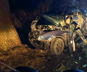 Na zakręcie pojechali prosto, ze sobą wieźli dwa duże psy. Czy któryś z nich ugryzł kierowcę?