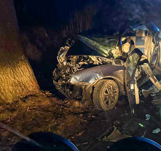 Na zakręcie pojechali prosto, ze sobą wieźli dwa duże psy. Czy któryś z nich ugryzł kierowcę?