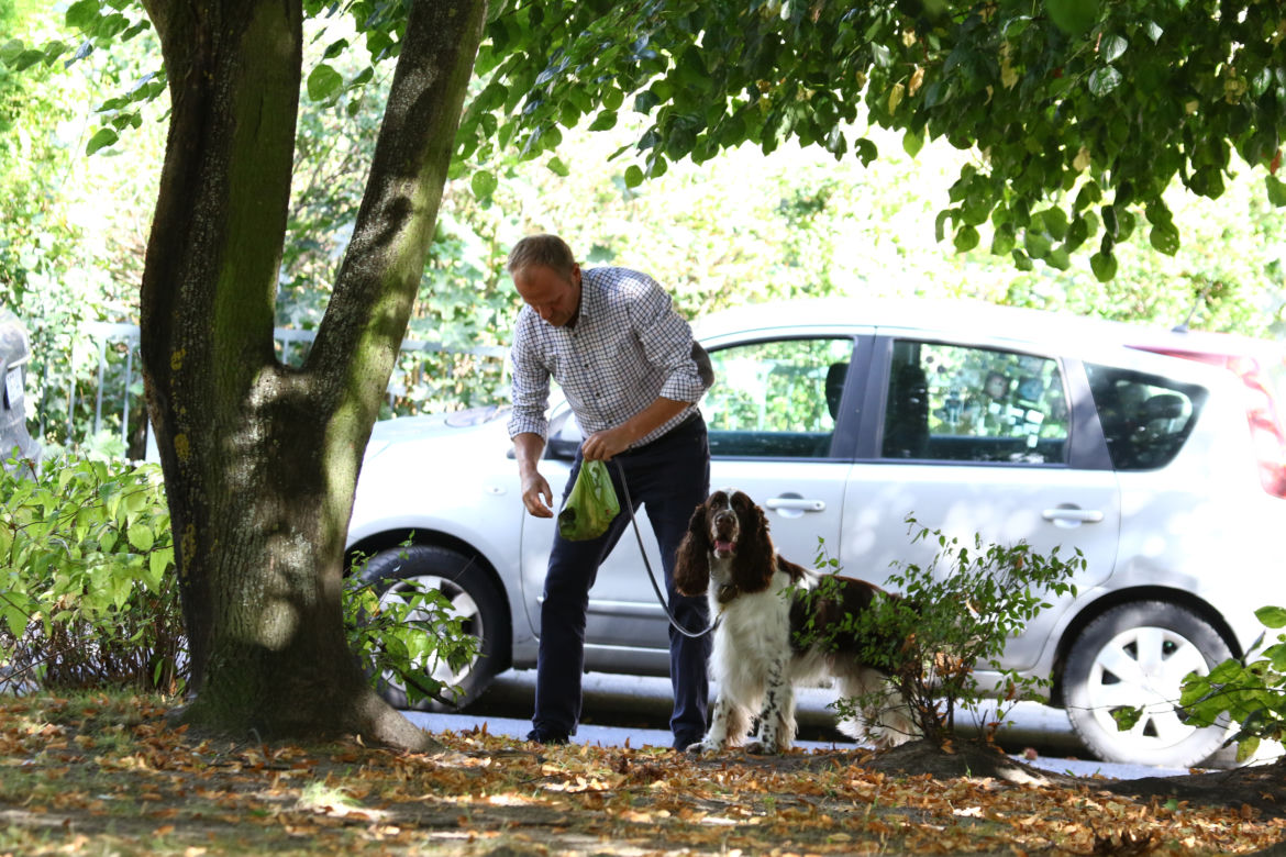 Tusk sprząta po psie