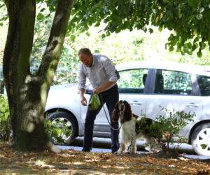 Tusk sprząta po psie