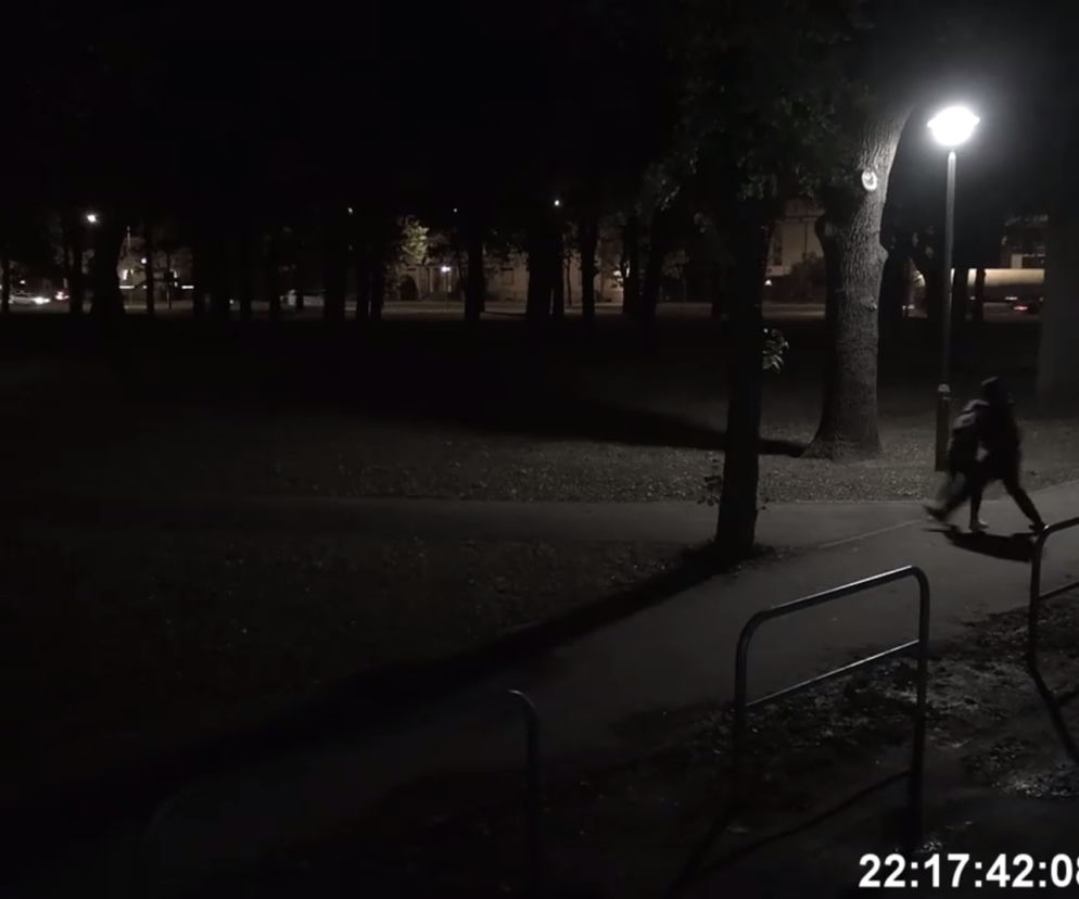 Poznań: Kobieta brutalnie napadnięta w jednym z poznańskich parków! Nagranie, które obiegło internet okazało się reklamą!