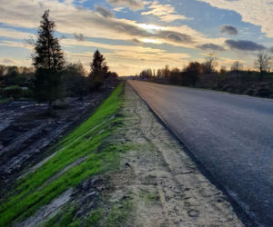Budowa dróg w Polsce. Listopad 2020