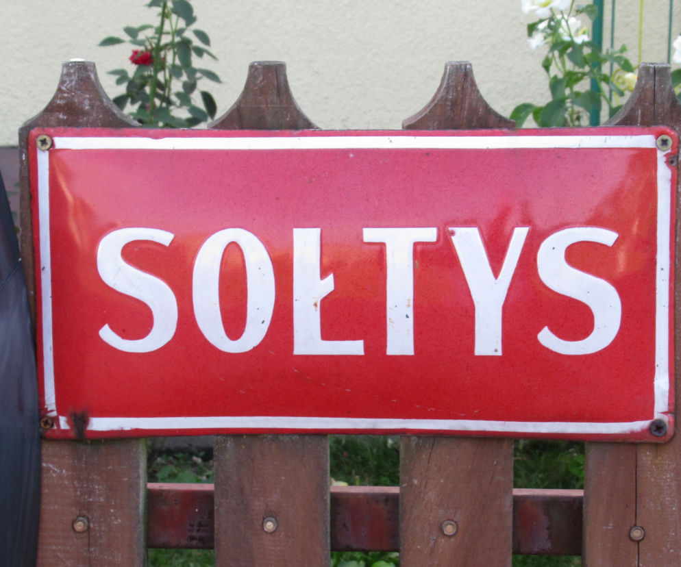 sołtys