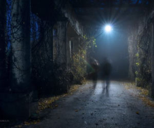 Pergola nocą