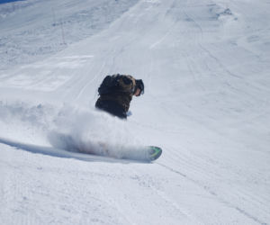 Snowboard