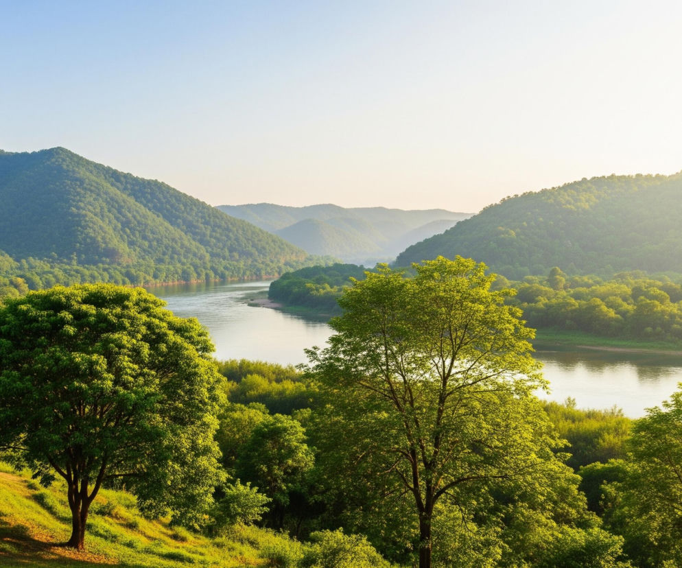 Długie, kręte pasmo rzeki przepływa przez centrum tego poziomego obrazu. Woda odbija jasne światło z nieba, które staje się bardziej jaskrawe po prawej stronie. Rzeka płynie między dwoma pasmami wzgórz i dolin, pokrytych gęstym lasem liściastym. Zielone wzniesienia z tyłu stają się coraz bardziej rozmyte, podczas gdy te bliżej widza są wyraźniejsze. Na pierwszym planie, po lewej stronie, stoi duże, okrągłe drzewo o szerokiej koronie, z trawą i krzewami wokół jego podstawy. Po prawej stronie, na pierwszym planie, znajduje się drugie, wyższe drzewo, a pomiędzy nim a pierwszym drzewem rozciąga się zielony, trawiasty pagórek.