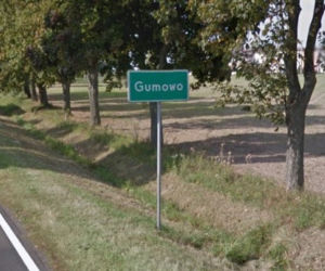Gumowo (pow. ciechanowski)