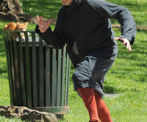 Hank Azaria jako Gargamel