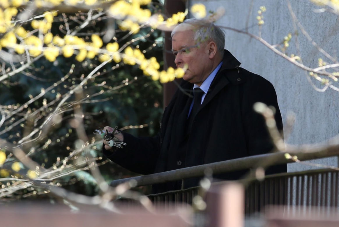  Tak Kaczyński woła kota 