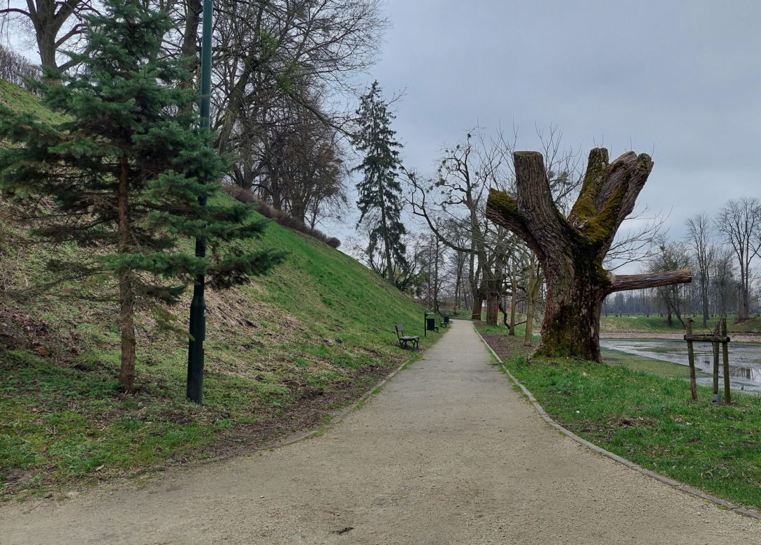 Zamość