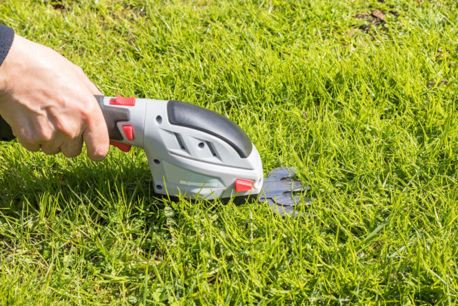 Narzędzia do pielęgnacji trawnika