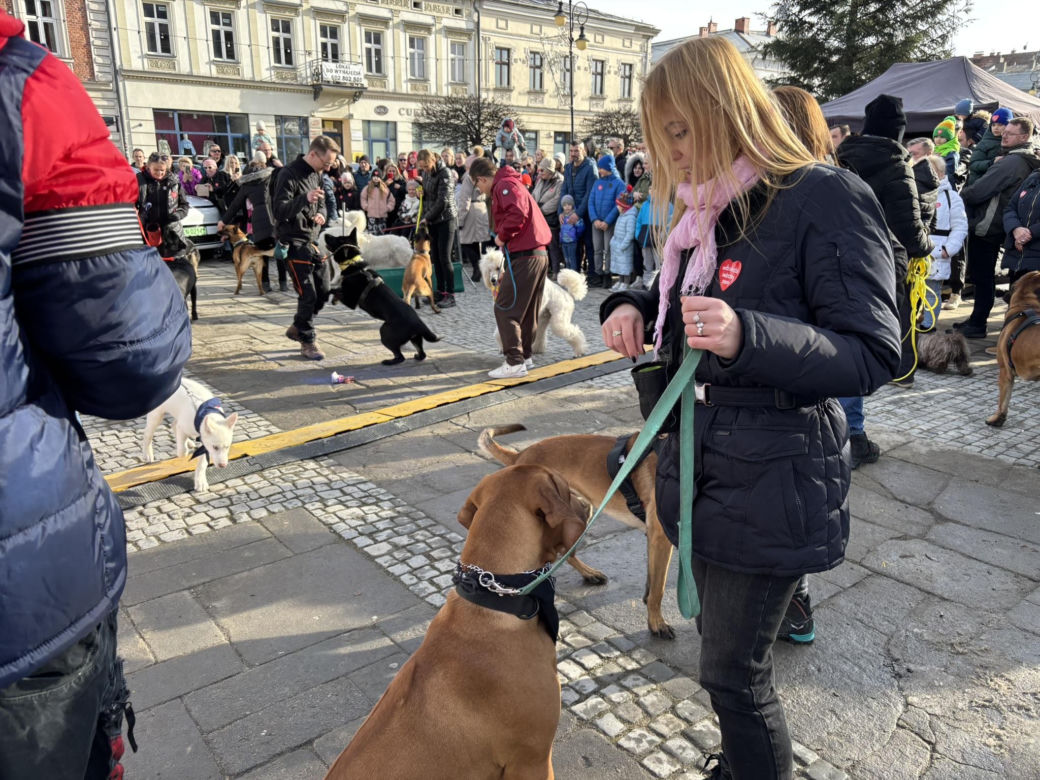 Finał WOŚP w Nowym Sączu 