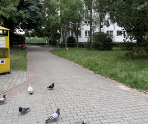 Tragedia w Lublinie. Kurier potrącił seniorkę. Kobieta nie żyje