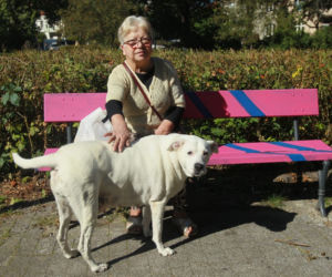 Wojna o tęczę 