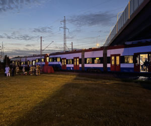 20-latek rozczłonkowany przez pociąg