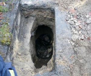 Zastęp strażaków na ratunek suni