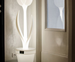 Luminosfera OKK design