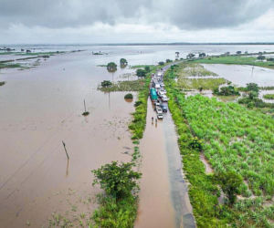 Krokodyle i hipopotamy na ulicach! Władze ostrzegają