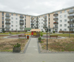 Szósta doba poszukiwań Dawidka